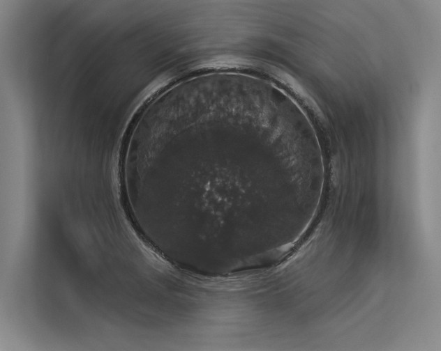 X0000113551229200909181152