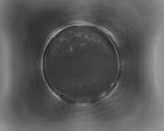 X0000113551231200909181152