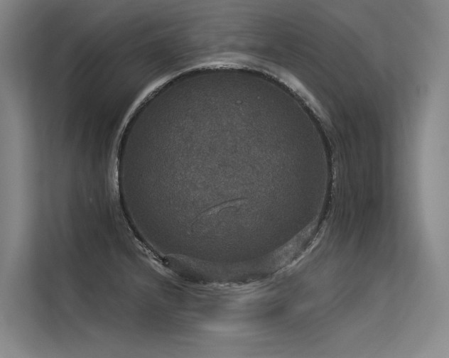 X0000113551232200909181152