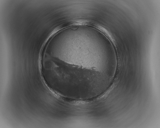 X0000113551235200909181153