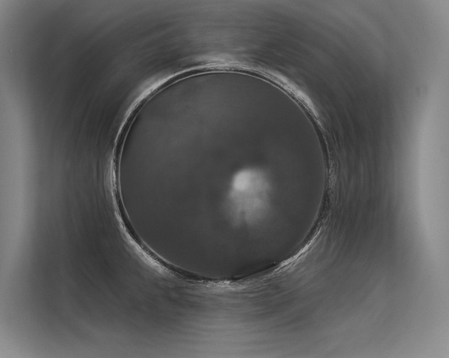X0000113551239200909181153