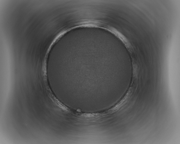 X0000113551240200909181153