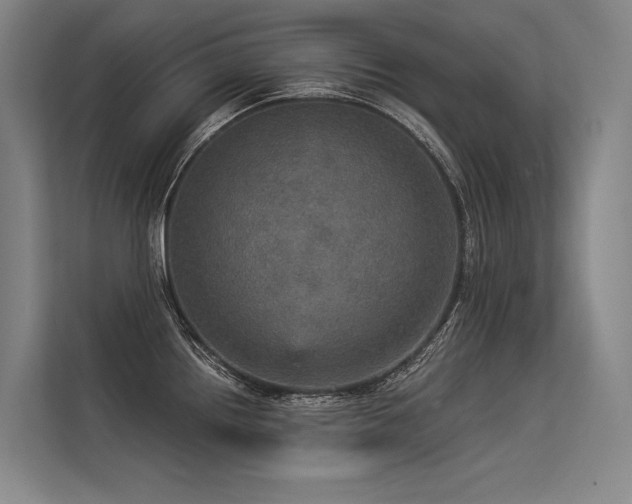 X0000113551242200909181153