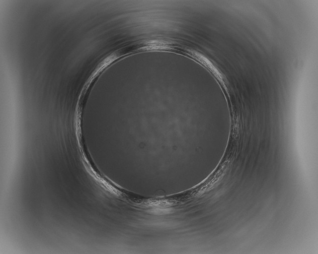 X0000113551243200909181153