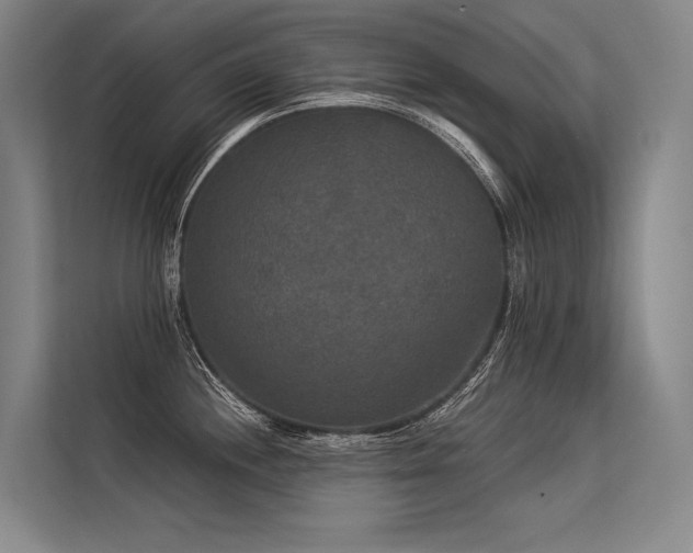 X0000113551244200909181153