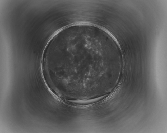 X0000113551245200909181153