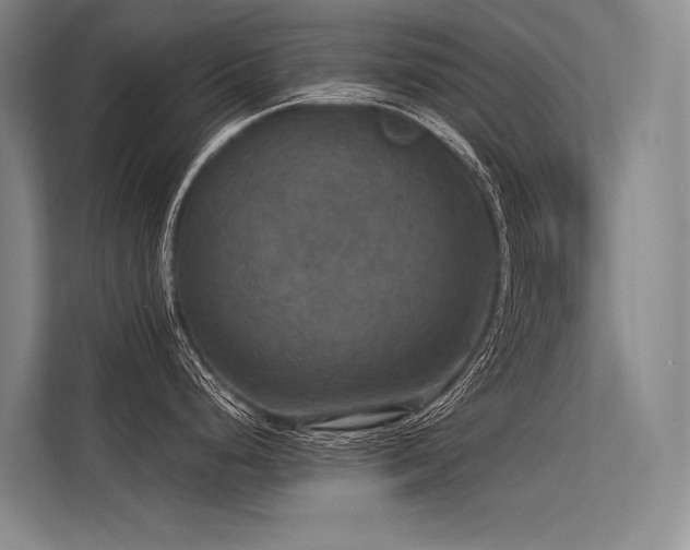 X0000113551248200909181153