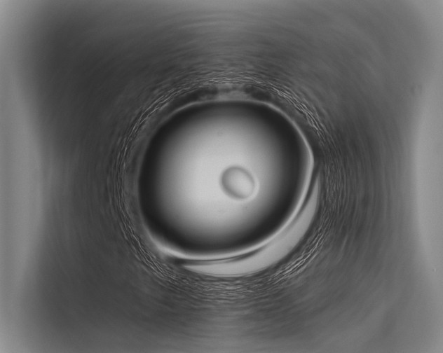 X0000113551249200909181152