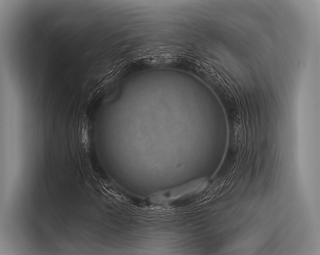 X0000113551250200909181152