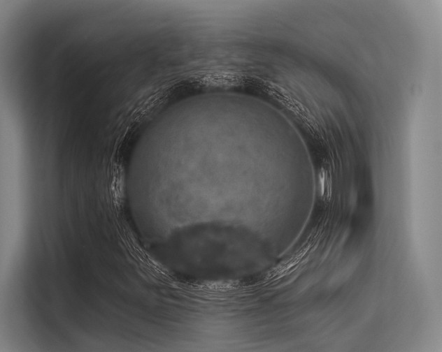 X0000113551251200909181152