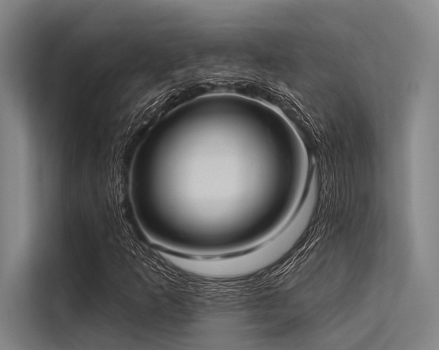 X0000113551253200909181152