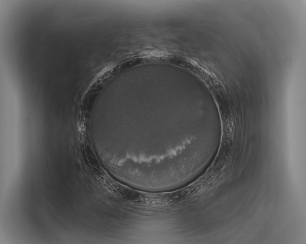 X0000113551254200909181152