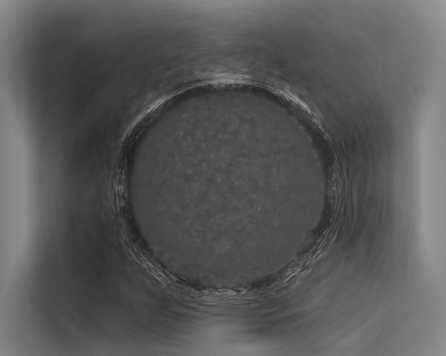 X0000113551255200909181152
