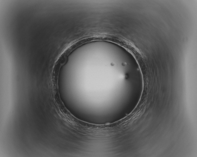 X0000113551256200909181152