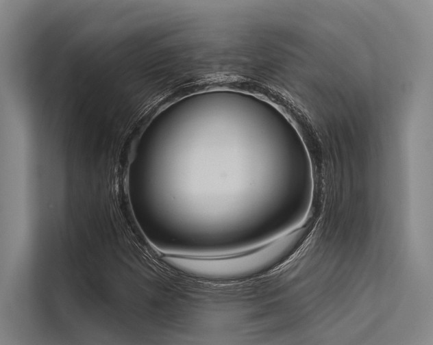 X0000113551257200909181152