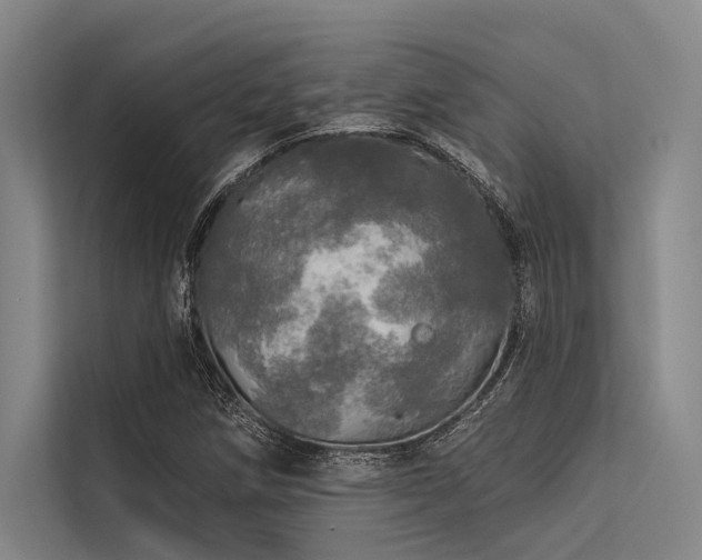 X0000113551258200909181152