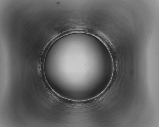 X0000113551260200909181152