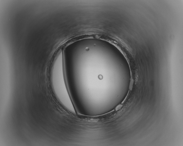 X0000113551261200909181152