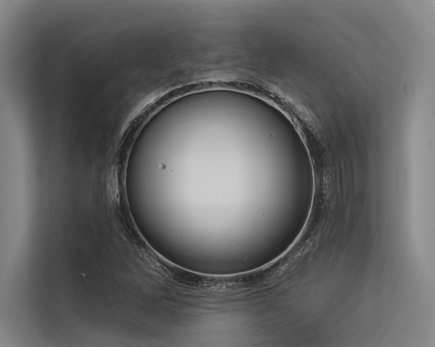 X0000113551262200909181152