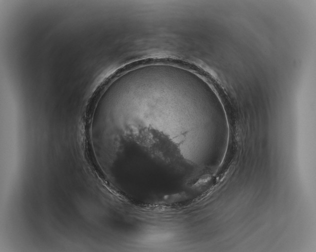 X0000113551263200909181152