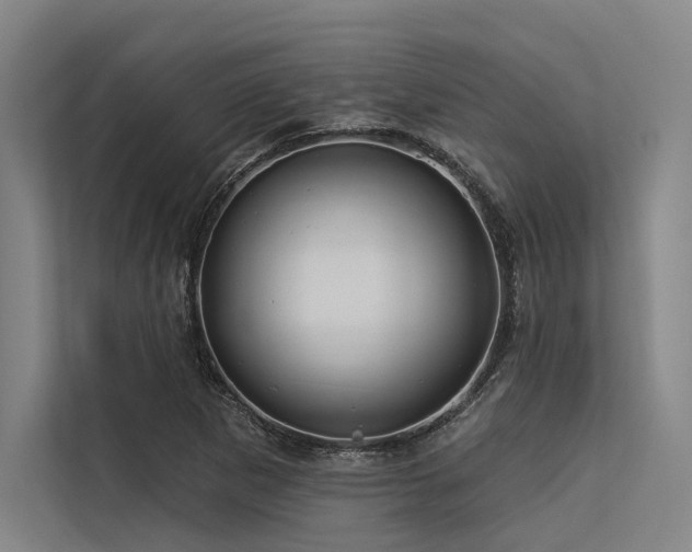 X0000113551265200909181152