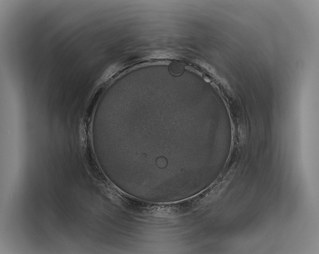 X0000113551266200909181152