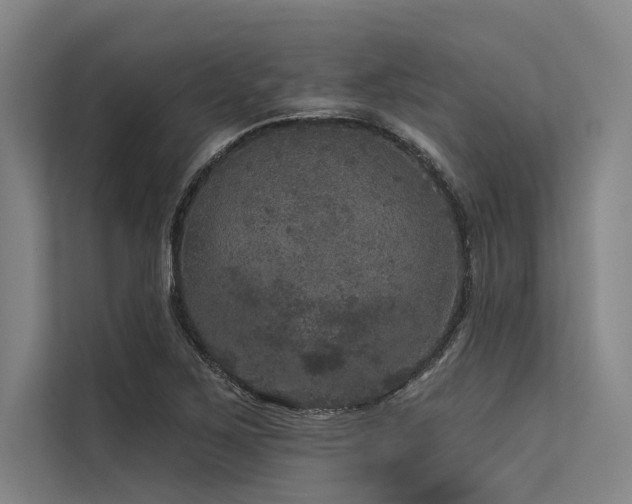 X0000113551267200909181152
