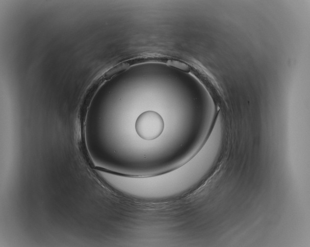 X0000113551269200909181152