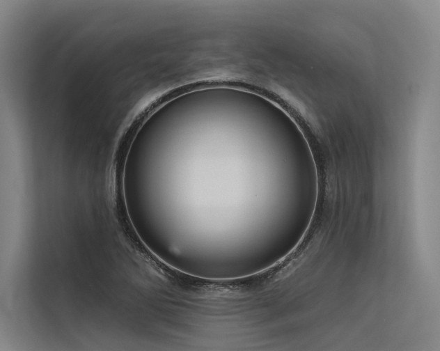 X0000113551270200909181152