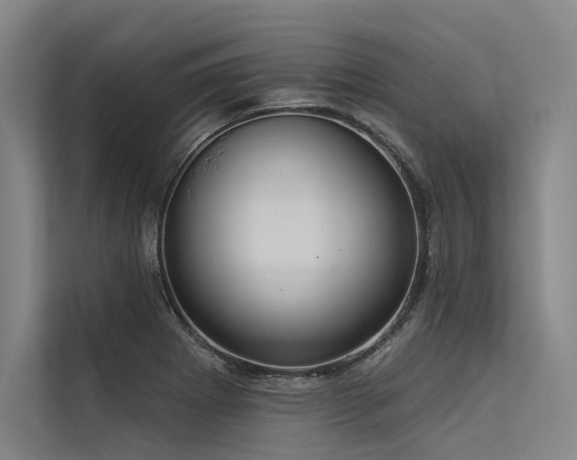 X0000113551273200909181152