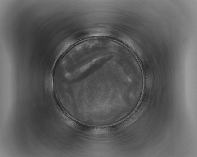 X0000113551274200909181152