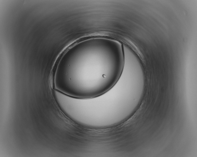 X0000113551276200909181152
