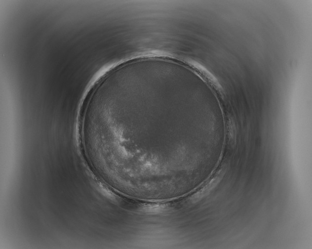 X0000113551278200909181152