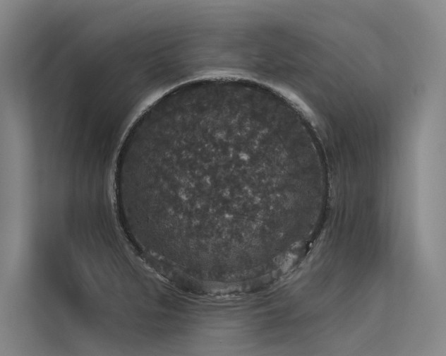 X0000113551279200909181152