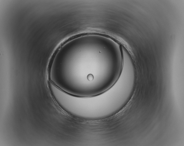 X0000113551280200909181152