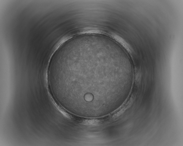 X0000113551282200909181152