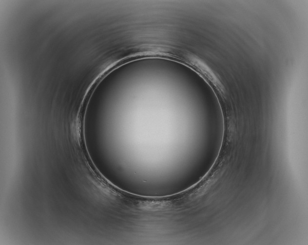 X0000113551284200909181152