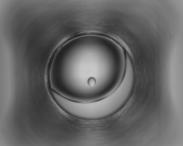 X0000113551285200909181152