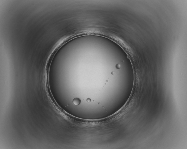 X0000113551286200909181152