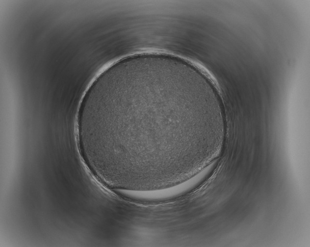 X0000113551287200909181152