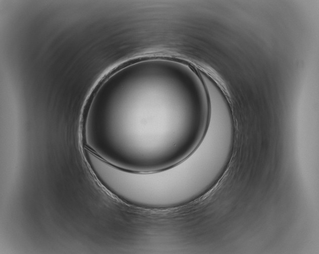 X0000113551288200909181152