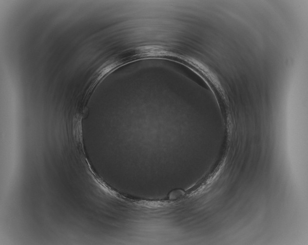 X0000113551289200909181152