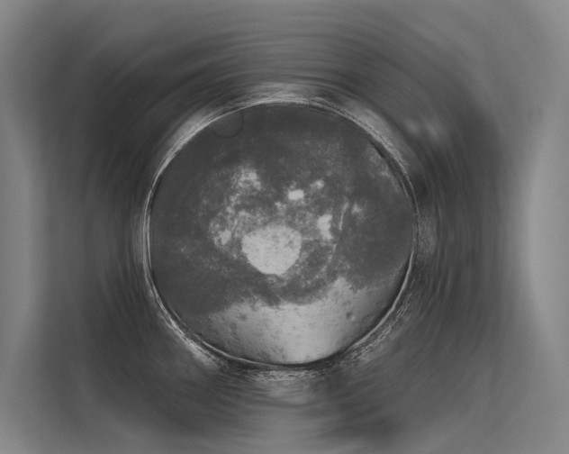 X0000113551290200909181152