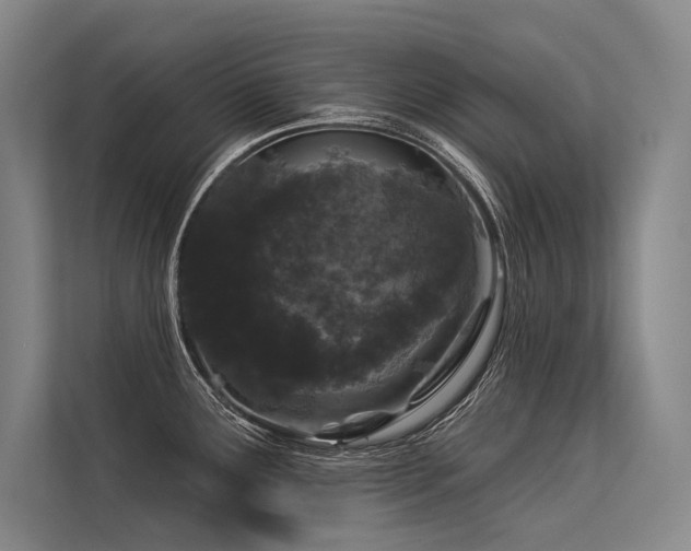 X0000113551291200909181152