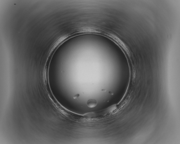 X0000113551293200909181151