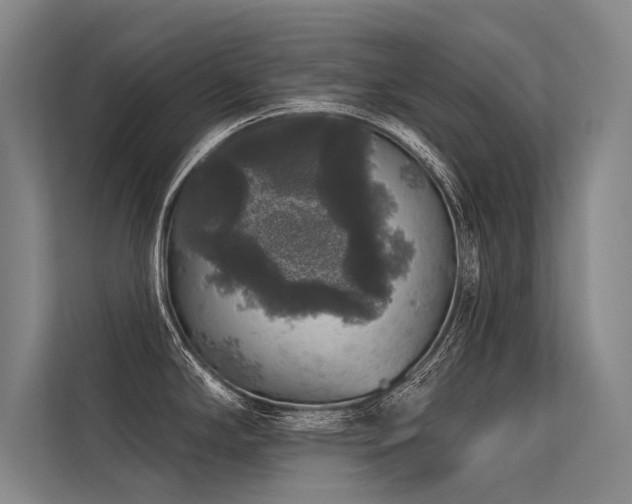 X0000113551294200909181151