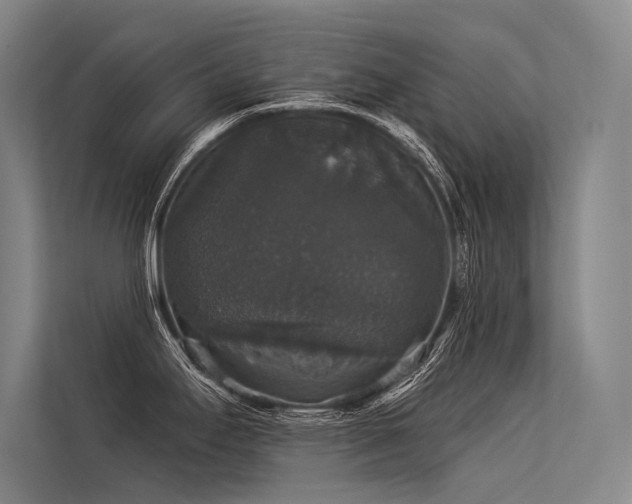 X0000113551295200909181151