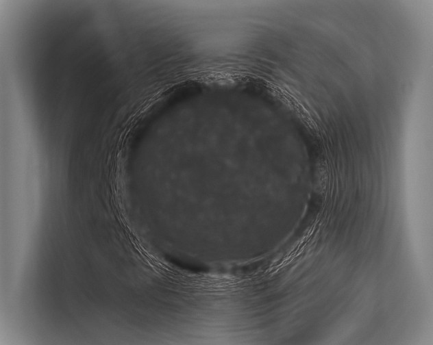 X0000113551297200909181151