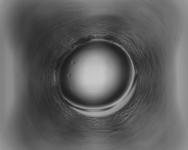 X0000113551298200909181151
