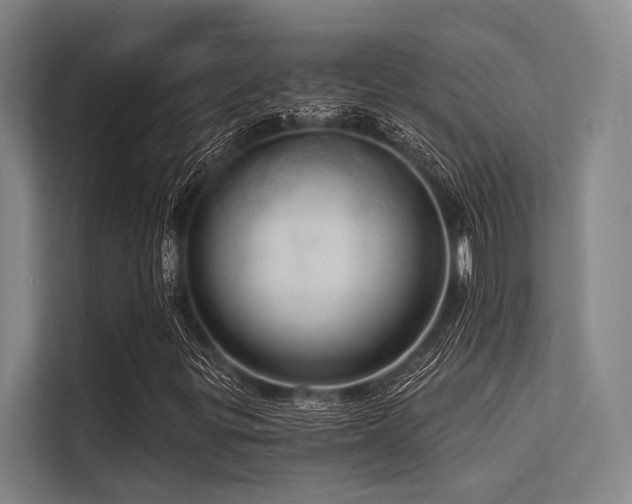 X0000113551299200909181151